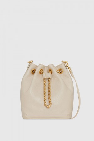 Brown Rebecca Minkoff Chain Bucket Crossbody | SWCIN-5719